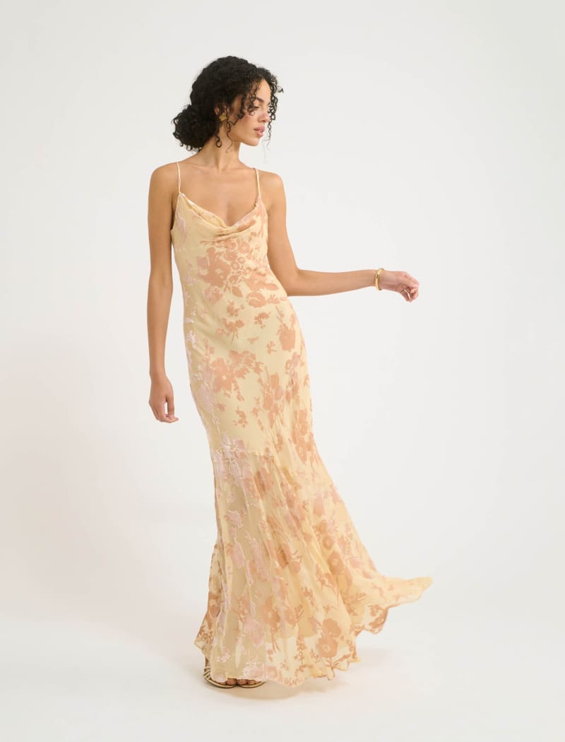 Santeria Maxi Dress | Blush Devore - Maxi Dress