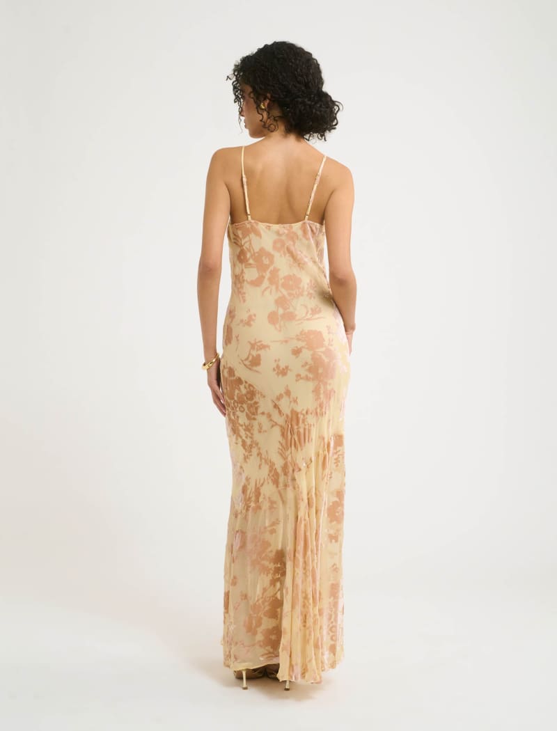 Santeria Maxi Dress | Blush Devore - Maxi Dress