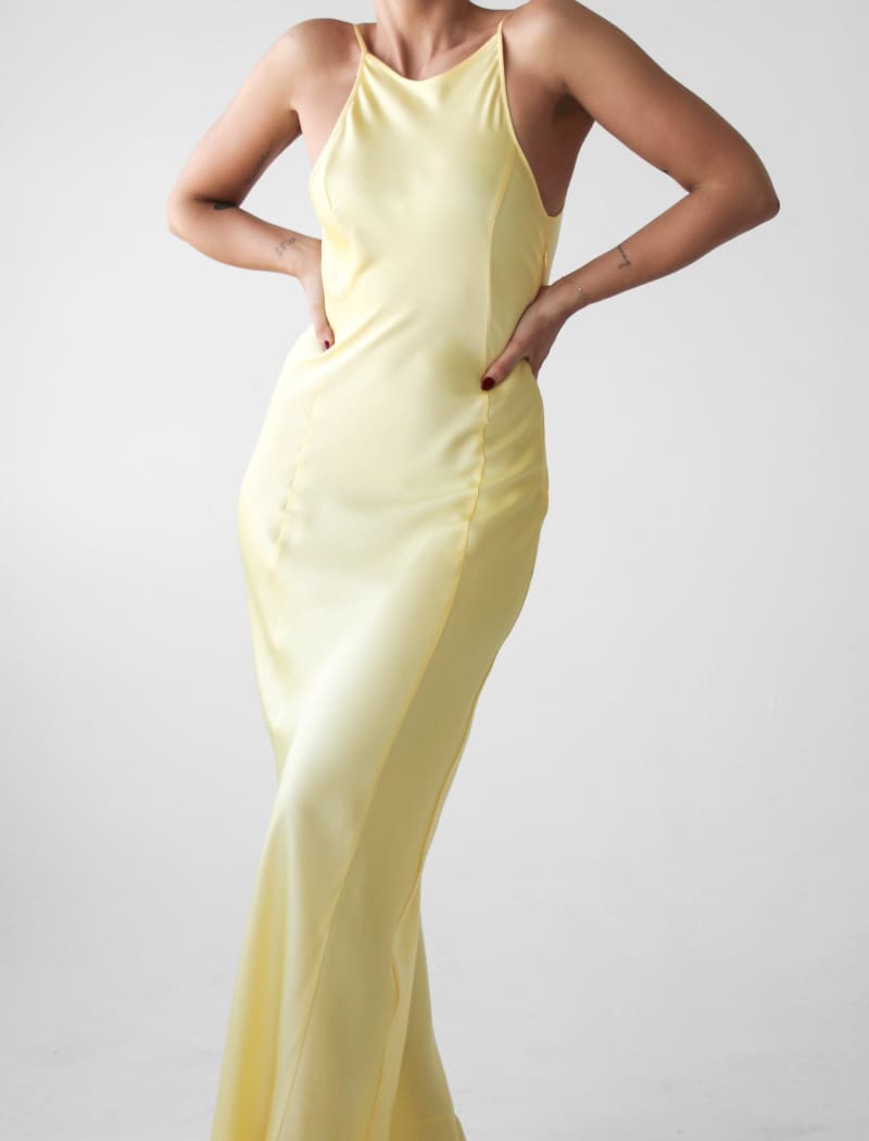 Mirielle Maxi Dress | Banana