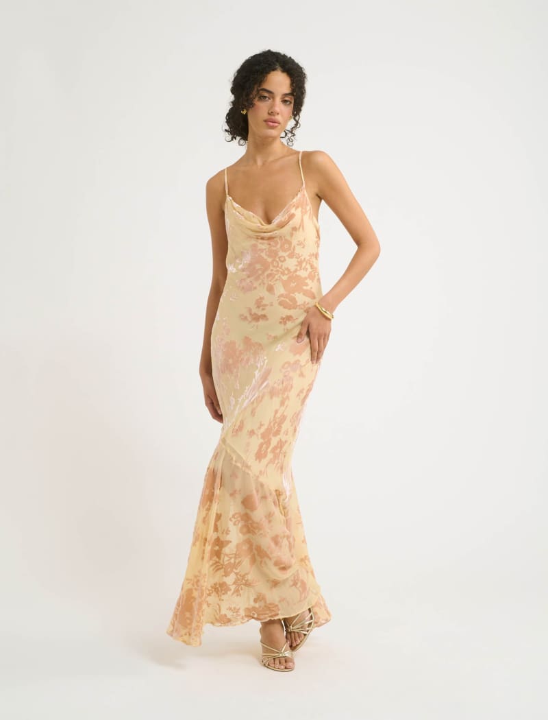 Santeria Maxi Dress | Blush Devore - Maxi Dress