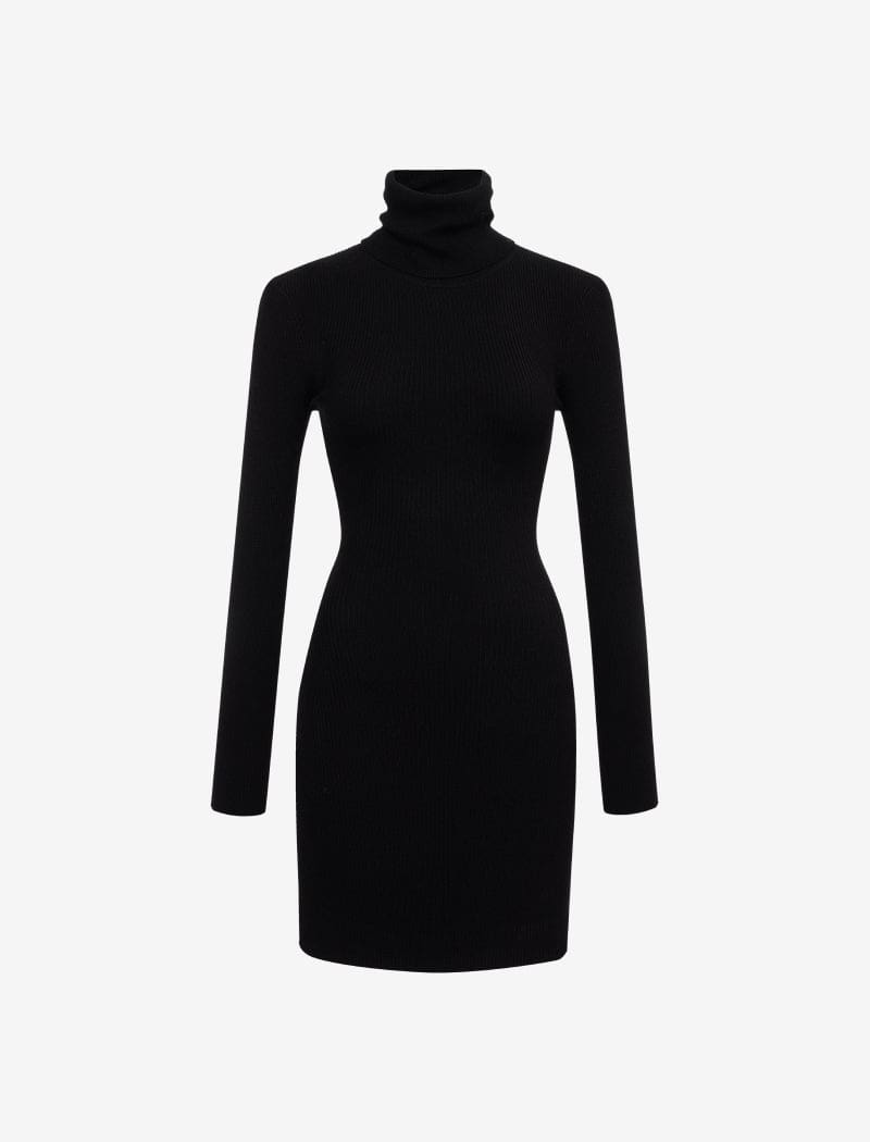 Turtleneck Mini Dress